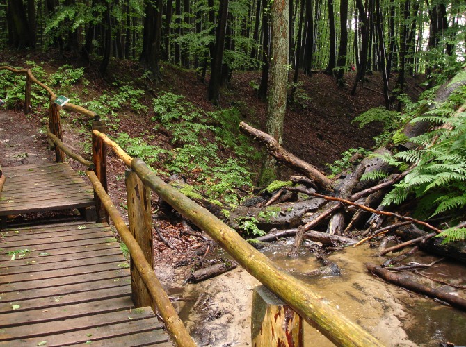 Nationalpark Jasmund