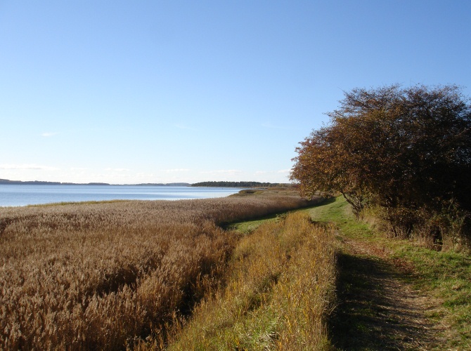 Großer Jasmunder Bodden
