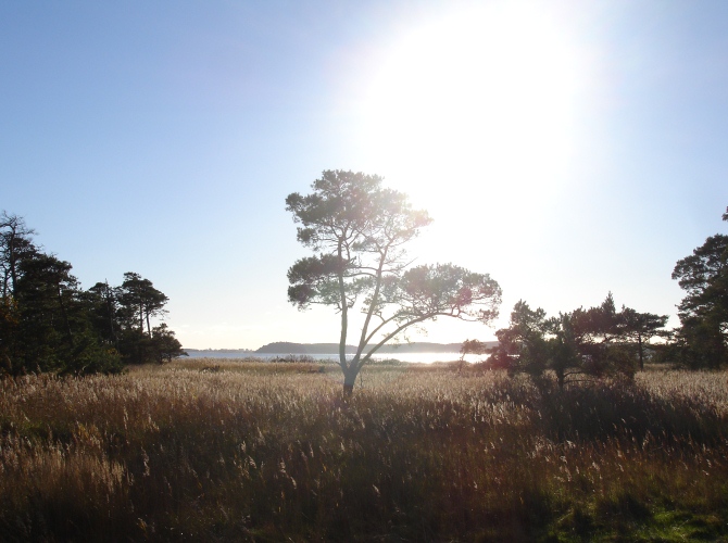 Großer Jasmunder Bodden