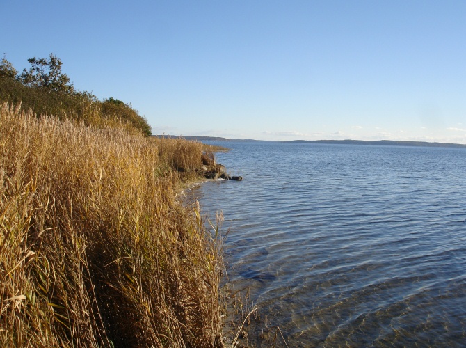 Großer Jasmunder Bodden