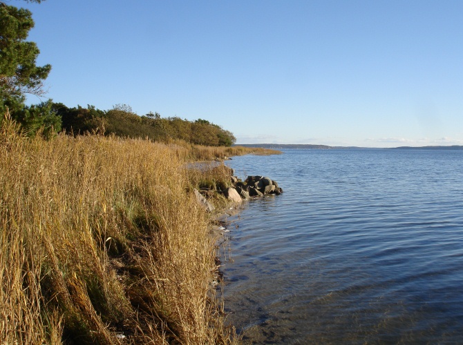 Großer Jasmunder Bodden